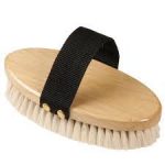 body brush