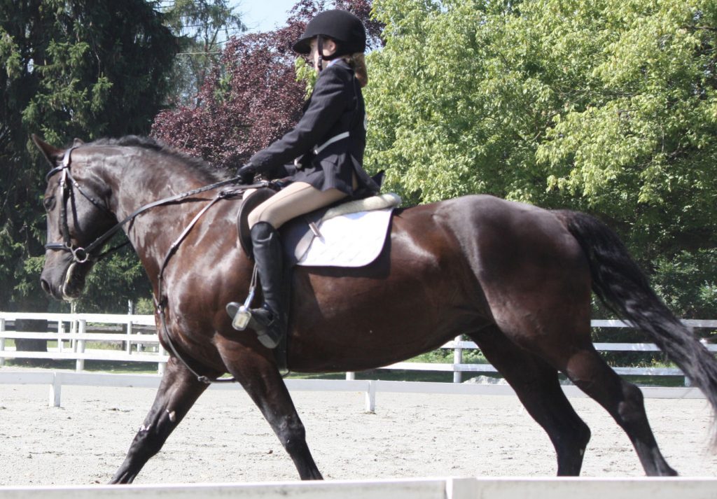 A quiet, upright seat will help your horse balance through turns