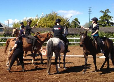 mounted combat